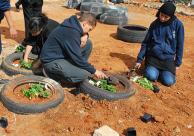صور: يوم الأعمال الطيبة في مدرسة اورط للعلوم والهندسة بمدينة اللد